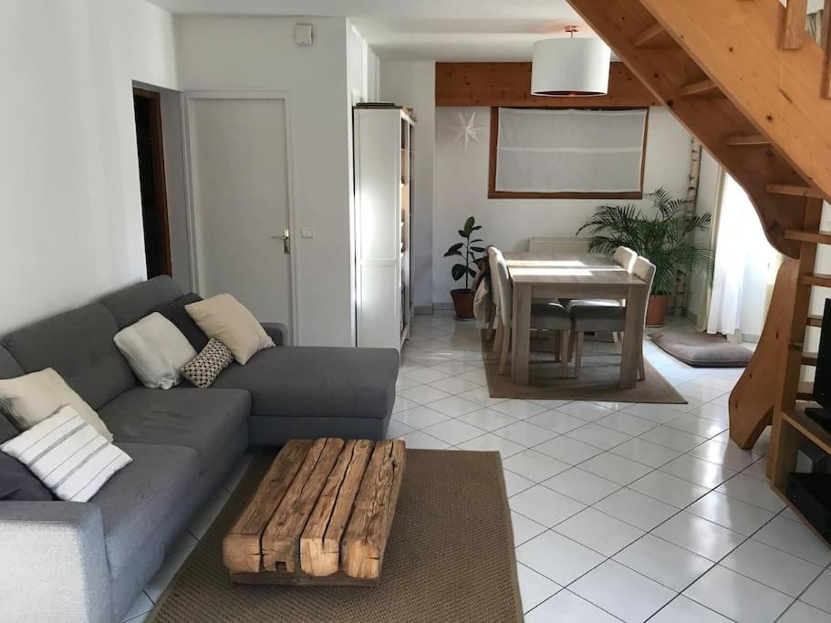 Appartement Spacieux Au Pays Du Mont-Blanc Σαλάνς Εξωτερικό φωτογραφία